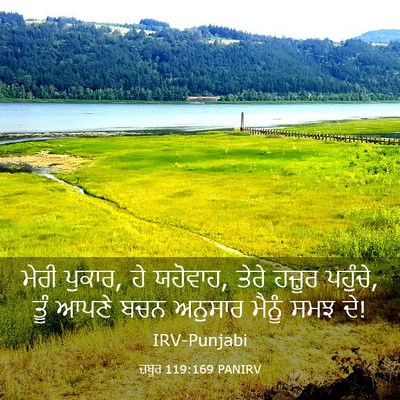 Picture 03 - ਜ਼ਬੂਰ 119:169 PANIRV - ਮੇਰੀ ਪੁਕਾਰ, ਹੇ - Bible Verse Picture