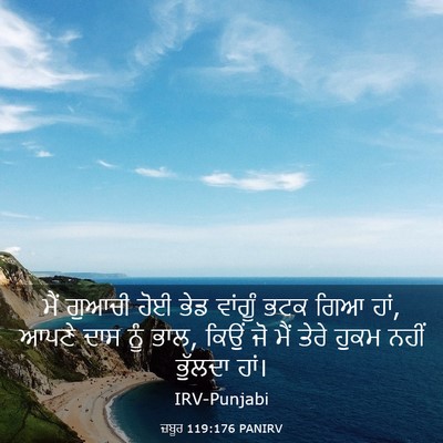 Picture 03 - ਜ਼ਬੂਰ 119:176 PANIRV - ਮੈਂ ਗੁਆਚੀ ਹੋਈ ਭੇਡ - Bible Verse Picture