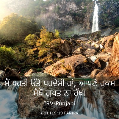Picture 03 - ਜ਼ਬੂਰ 119:19 PANIRV - ਮੈਂ ਧਰਤੀ ਉੱਤੇ - Bible Verse Picture