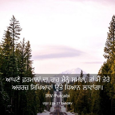 Picture 03 - ਜ਼ਬੂਰ 119:27 PANIRV - ਆਪਣੇ ਫ਼ਰਮਾਨਾਂ ਦਾ - Bible Verse Picture