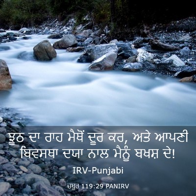 Picture 03 - ਜ਼ਬੂਰ 119:29 PANIRV - ਝੂਠ ਦਾ ਰਾਹ ਮੈਥੋਂ - Bible Verse Picture
