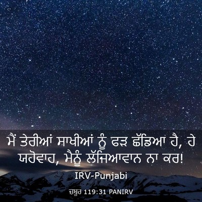 Picture 03 - ਜ਼ਬੂਰ 119:31 PANIRV - ਮੈਂ ਤੇਰੀਆਂ ਸਾਖੀਆਂ - Bible Verse Picture