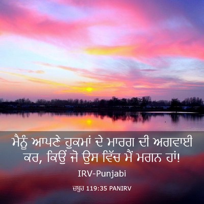 Picture 03 - ਜ਼ਬੂਰ 119:35 PANIRV - ਮੈਨੂੰ ਆਪਣੇ ਹੁਕਮਾਂ - Bible Verse Picture