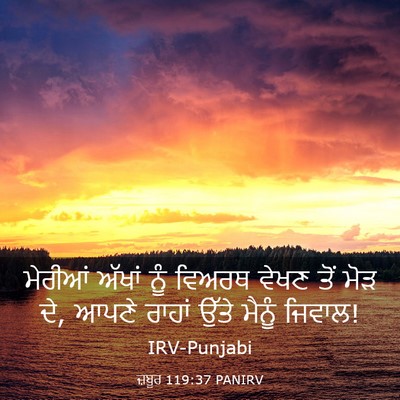 Picture 03 - ਜ਼ਬੂਰ 119:37 PANIRV - ਮੇਰੀਆਂ ਅੱਖਾਂ ਨੂੰ - Bible Verse Picture