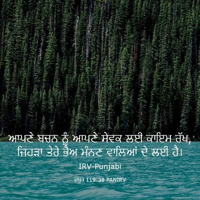 Picture 03 - ਜ਼ਬੂਰ 119:38 PANIRV - ਆਪਣੇ ਬਚਨ ਨੂੰ ਆਪਣੇ - Bible Verse Picture