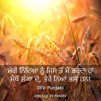 Picture 03 - ਜ਼ਬੂਰ 119:39 PANIRV - ਮੇਰੀ ਨਿੰਦਿਆ ਨੂੰ - Bible Verse Picture