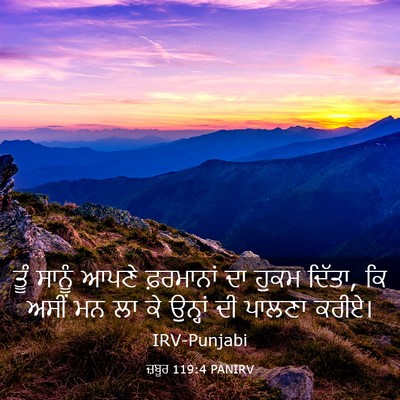 Picture 03 - ਜ਼ਬੂਰ 119:4 PANIRV - ਤੂੰ ਸਾਨੂੰ ਆਪਣੇ - Bible Verse Picture