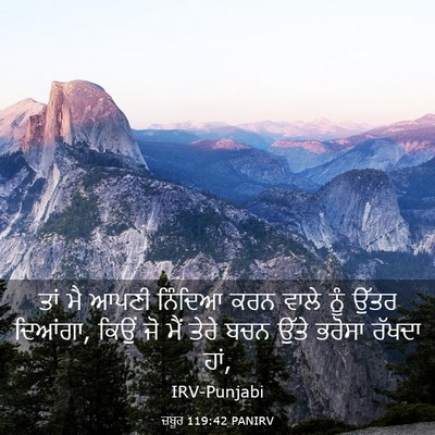 Picture 03 - ਜ਼ਬੂਰ 119:42 PANIRV - ਤਾਂ ਮੈ ਆਪਣੀ ਨਿੰਦਿਆ - Bible Verse Picture