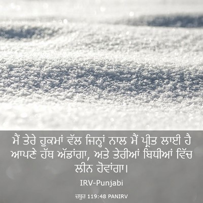 Picture 03 - ਜ਼ਬੂਰ 119:48 PANIRV - ਮੈਂ ਤੇਰੇ ਹੁਕਮਾਂ - Bible Verse Picture