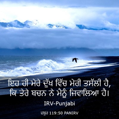 Picture 03 - ਜ਼ਬੂਰ 119:50 PANIRV - ਇਹ ਹੀ ਮੇਰੇ ਦੁੱਖ - Bible Verse Picture