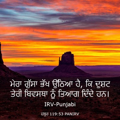 Picture 03 - ਜ਼ਬੂਰ 119:53 PANIRV - ਮੇਰਾ ਗੁੱਸਾ ਭੱਖ - Bible Verse Picture