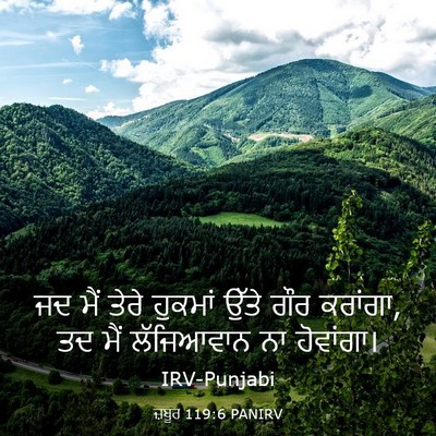Picture 03 - ਜ਼ਬੂਰ 119:6 PANIRV - ਜਦ ਮੈਂ ਤੇਰੇ ਹੁਕਮਾਂ - Bible Verse Picture