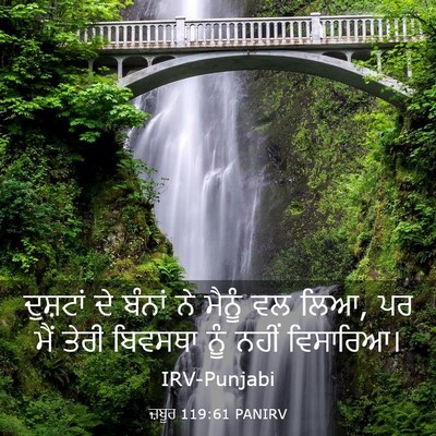 Picture 03 - ਜ਼ਬੂਰ 119:61 PANIRV - ਦੁਸ਼ਟਾਂ ਦੇ ਬੰਨਾਂ - Bible Verse Picture