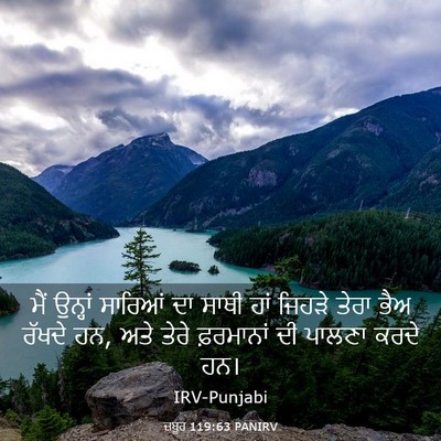 Picture 03 - ਜ਼ਬੂਰ 119:63 PANIRV - ਮੈਂ ਉਨ੍ਹਾਂ ਸਾਰਿਆਂ - Bible Verse Picture