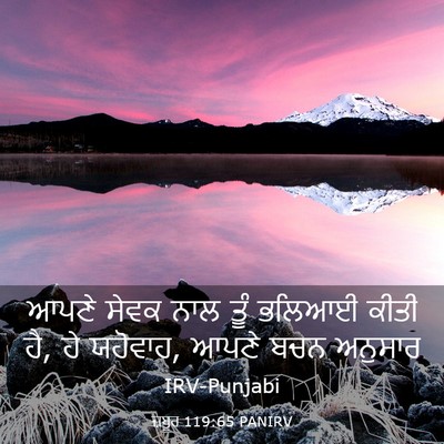 Picture 03 - ਜ਼ਬੂਰ 119:65 PANIRV - ਆਪਣੇ ਸੇਵਕ ਨਾਲ ਤੂੰ - Bible Verse Picture