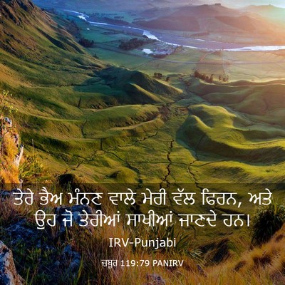 Picture 03 - ਜ਼ਬੂਰ 119:79 PANIRV - ਤੇਰੇ ਭੈਅ ਮੰਨਣ ਵਾਲੇ - Bible Verse Picture