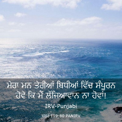 Picture 03 - ਜ਼ਬੂਰ 119:80 PANIRV - ਮੇਰਾ ਮਨ ਤੇਰੀਆਂ - Bible Verse Picture