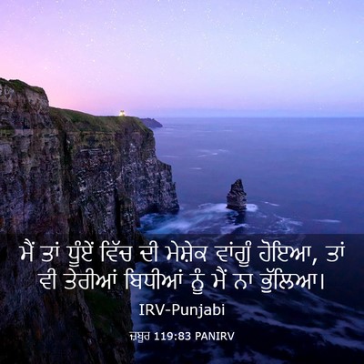 Picture 03 - ਜ਼ਬੂਰ 119:83 PANIRV - ਮੈਂ ਤਾਂ ਧੂੰਏਂ ਵਿੱਚ - Bible Verse Picture