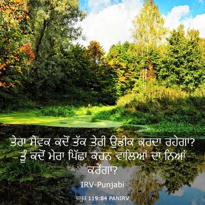 Picture 03 - ਜ਼ਬੂਰ 119:84 PANIRV - ਤੇਰਾ ਸੇਵਕ ਕਦੋਂ ਤੱਕ - Bible Verse Picture
