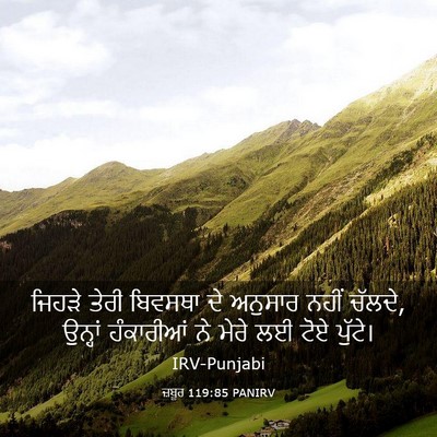 Picture 03 - ਜ਼ਬੂਰ 119:85 PANIRV - ਜਿਹੜੇ ਤੇਰੀ ਬਿਵਸਥਾ - Bible Verse Picture