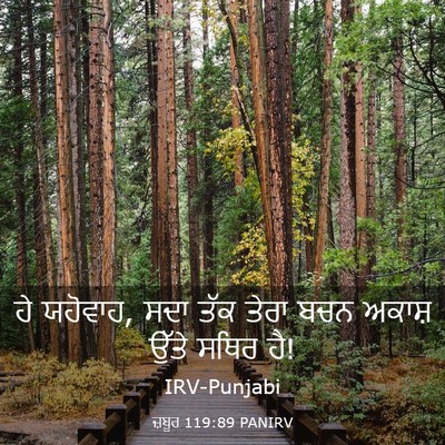 Picture 03 - ਜ਼ਬੂਰ 119:89 PANIRV - ਹੇ ਯਹੋਵਾਹ, ਸਦਾ ਤੱਕ - Bible Verse Picture