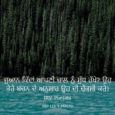 Picture 03 - ਜ਼ਬੂਰ 119:9 PANIRV - ਜੁਆਨ ਕਿੱਦਾਂ ਆਪਣੀ - Bible Verse Picture