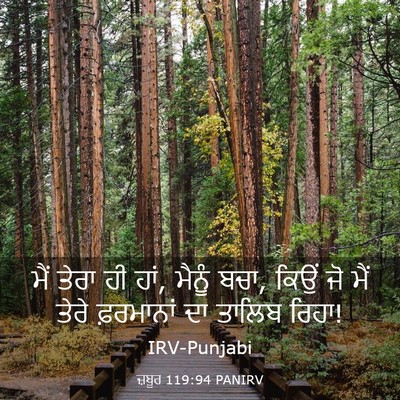 Picture 03 - ਜ਼ਬੂਰ 119:94 PANIRV - ਮੈਂ ਤੇਰਾ ਹੀ ਹਾਂ, - Bible Verse Picture