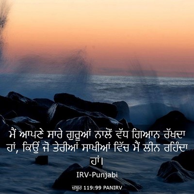 Picture 03 - ਜ਼ਬੂਰ 119:99 PANIRV - ਮੈਂ ਆਪਣੇ ਸਾਰੇ - Bible Verse Picture
