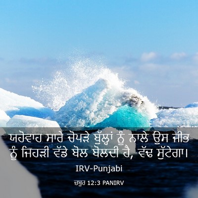 Picture 03 - ਜ਼ਬੂਰ 12:3 PANIRV - ਯਹੋਵਾਹ ਸਾਰੇ ਚੋਪੜੇ - Bible Verse Picture