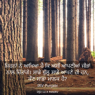 Picture 03 - ਜ਼ਬੂਰ 12:4 PANIRV - ਜਿਹਨਾਂ ਨੇ ਆਖਿਆ ਹੈ - Bible Verse Picture