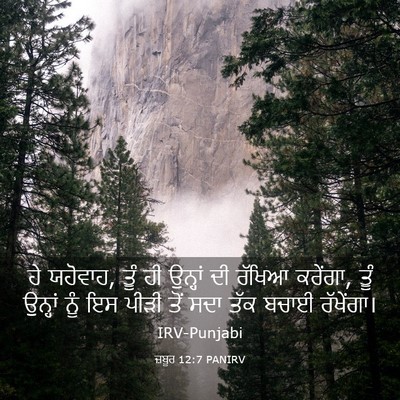 Picture 03 - ਜ਼ਬੂਰ 12:7 PANIRV - ਹੇ ਯਹੋਵਾਹ, ਤੂੰ ਹੀ - Bible Verse Picture