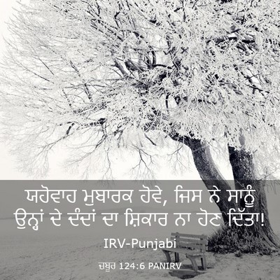Picture 03 - ਜ਼ਬੂਰ 124:6 PANIRV - ਯਹੋਵਾਹ ਮੁਬਾਰਕ - Bible Verse Picture