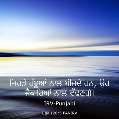 Picture 03 - ਜ਼ਬੂਰ 126:5 PANIRV - ਜਿਹੜੇ ਹੰਝੂਆਂ ਨਾਲ - Bible Verse Picture
