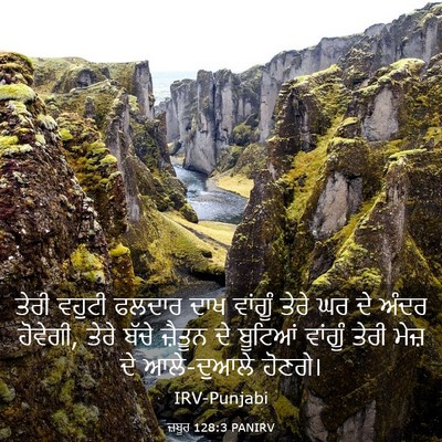 Picture 03 - ਜ਼ਬੂਰ 128:3 PANIRV - ਤੇਰੀ ਵਹੁਟੀ ਫਲਦਾਰ - Bible Verse Picture