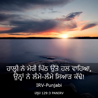 Picture 03 - ਜ਼ਬੂਰ 129:3 PANIRV - ਹਾਲ੍ਹੀ ਨੇ ਮੇਰੀ - Bible Verse Picture