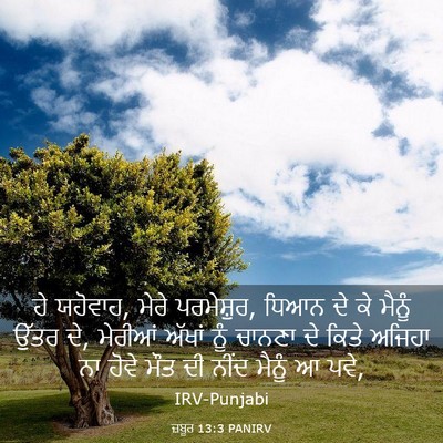 Picture 03 - ਜ਼ਬੂਰ 13:3 PANIRV - ਹੇ ਯਹੋਵਾਹ, ਮੇਰੇ - Bible Verse Picture