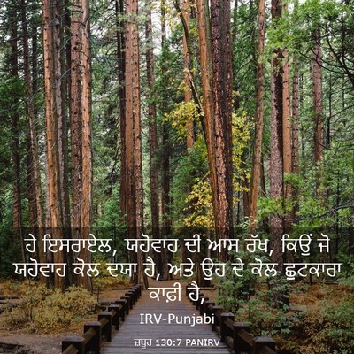 Picture 03 - ਜ਼ਬੂਰ 130:7 PANIRV - ਹੇ ਇਸਰਾਏਲ, ਯਹੋਵਾਹ - Bible Verse Picture