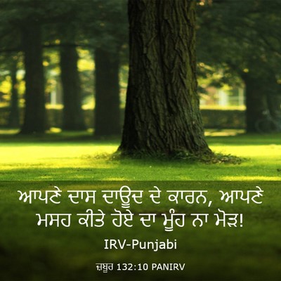Picture 03 - ਜ਼ਬੂਰ 132:10 PANIRV - ਆਪਣੇ ਦਾਸ ਦਾਊਦ ਦੇ - Bible Verse Picture