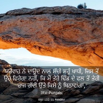 Picture 03 - ਜ਼ਬੂਰ 132:11 PANIRV - ਯਹੋਵਾਹ ਨੇ ਦਾਊਦ ਨਾਲ - Bible Verse Picture