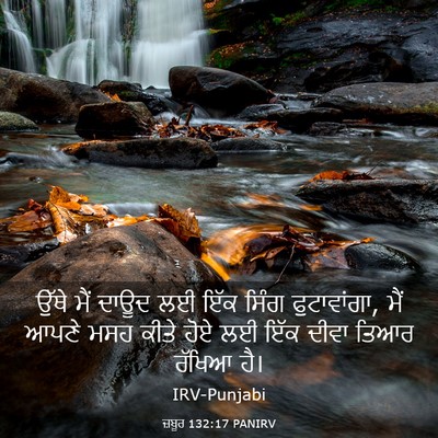 Picture 03 - ਜ਼ਬੂਰ 132:17 PANIRV - ਉੱਥੇ ਮੈਂ ਦਾਊਦ ਲਈ - Bible Verse Picture