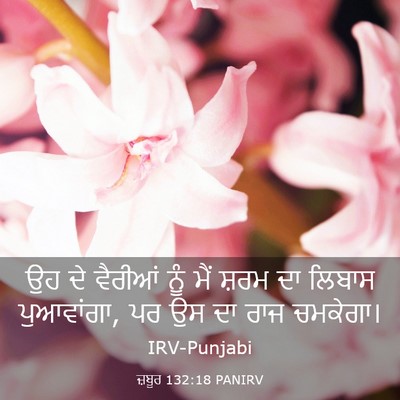 Picture 03 - ਜ਼ਬੂਰ 132:18 PANIRV - ਉਹ ਦੇ ਵੈਰੀਆਂ ਨੂੰ - Bible Verse Picture