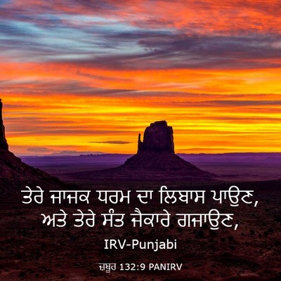 Picture 03 - ਜ਼ਬੂਰ 132:9 PANIRV - ਤੇਰੇ ਜਾਜਕ ਧਰਮ ਦਾ - Bible Verse Picture