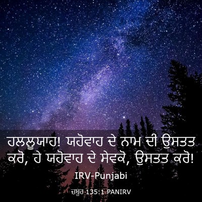 Picture 03 - ਜ਼ਬੂਰ 135:1 PANIRV - ਹਲਲੂਯਾਹ! ਯਹੋਵਾਹ ਦੇ - Bible Verse Picture