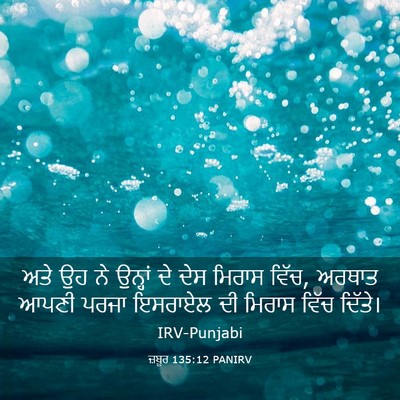 Picture 03 - ਜ਼ਬੂਰ 135:12 PANIRV - ਅਤੇ ਉਹ ਨੇ ਉਨ੍ਹਾਂ ਦੇ - Bible Verse Picture