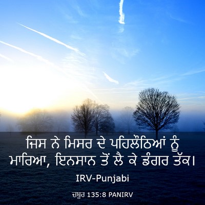 Picture 03 - ਜ਼ਬੂਰ 135:8 PANIRV - ਜਿਸ ਨੇ ਮਿਸਰ ਦੇ - Bible Verse Picture