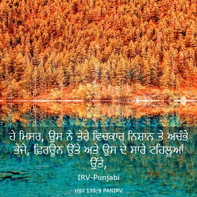 Picture 03 - ਜ਼ਬੂਰ 135:9 PANIRV - ਹੇ ਮਿਸਰ, ਉਸ ਨੇ ਤੇਰੇ - Bible Verse Picture