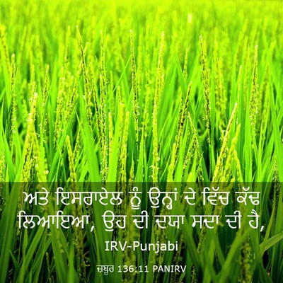Picture 03 - ਜ਼ਬੂਰ 136:11 PANIRV - ਅਤੇ ਇਸਰਾਏਲ ਨੂੰ - Bible Verse Picture