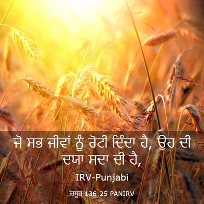 Picture 03 - ਜ਼ਬੂਰ 136:25 PANIRV - ਜੋ ਸਭ ਜੀਵਾਂ ਨੂੰ - Bible Verse Picture
