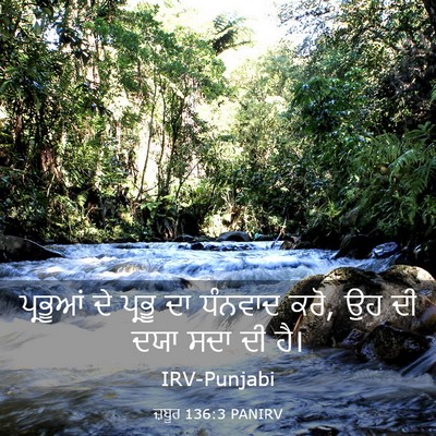 Picture 03 - ਜ਼ਬੂਰ 136:3 PANIRV - ਪ੍ਰਭੂਆਂ ਦੇ ਪ੍ਰਭੂ - Bible Verse Picture