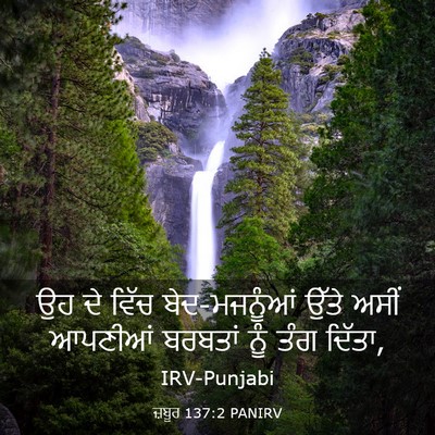 Picture 03 - ਜ਼ਬੂਰ 137:2 PANIRV - ਉਹ ਦੇ ਵਿੱਚ - Bible Verse Picture